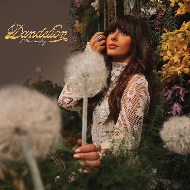 Dandelion cover art