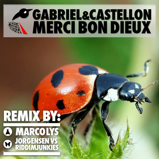 Merci bon dieux - Jorgensen Vs. RiddimJunkies Remix cover art