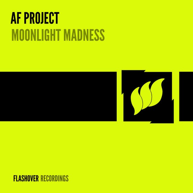 Moonlight Madness - Sergey Shemet Remix cover art