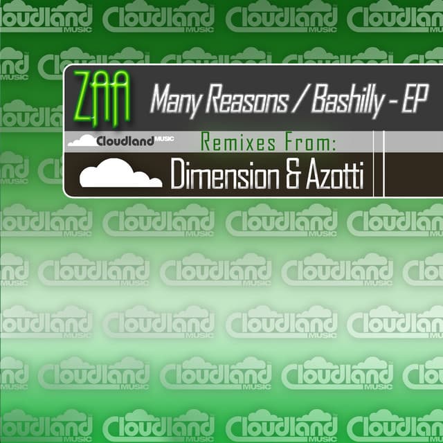 Many Reasons - Azotti Remix cover art