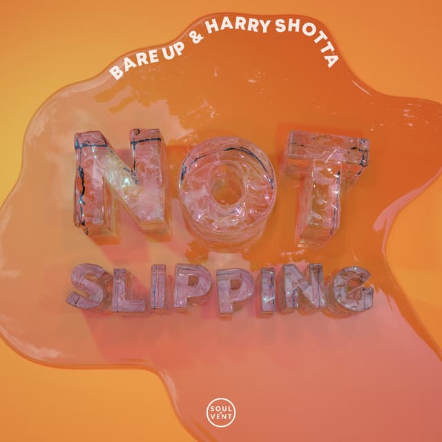 Not Slipping cover art