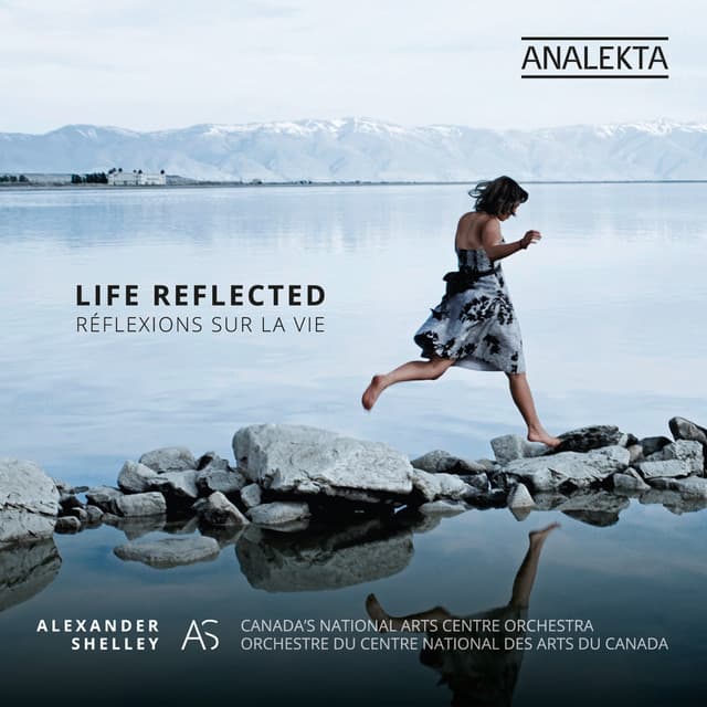 Life Reflected cover art