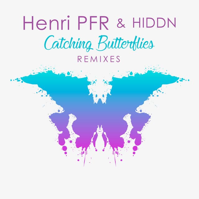 Catching Butterflies - Liam Summers Remix cover art