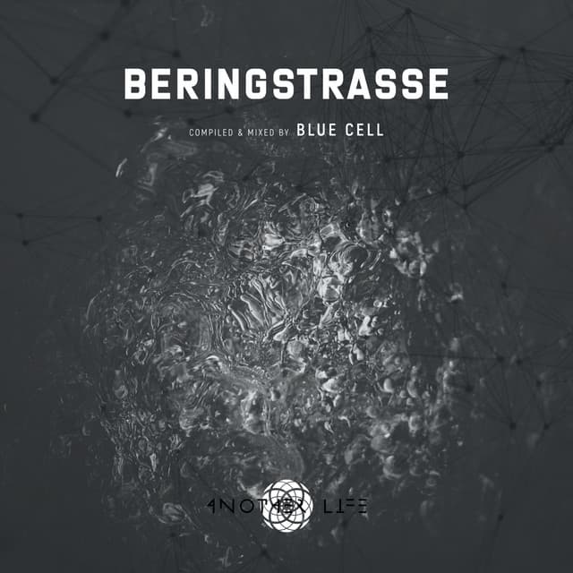 Beringstrasse (DJ Mix) cover art