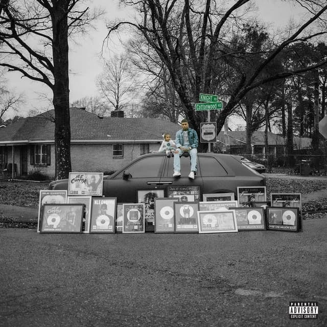 DISABILITY CHECKS (feat. G Herbo) cover art
