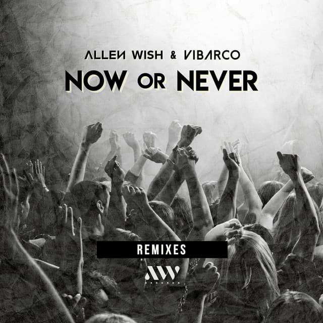 Now or Never - Tom Staar Remix cover art