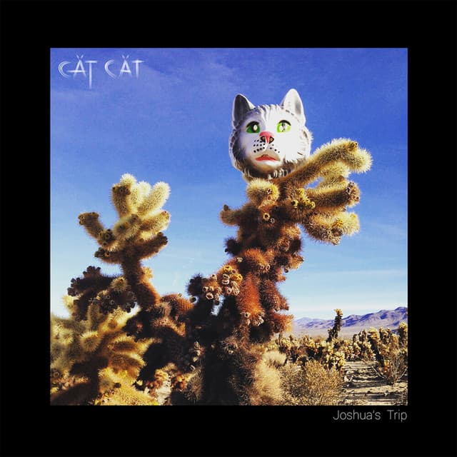 Pioneer Canyon (Neumodel Remix) cover art