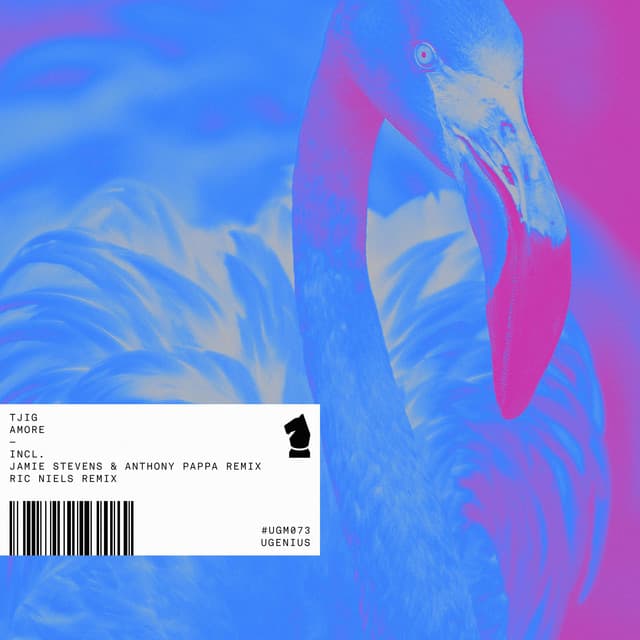 You - Ric Niels Remix cover art