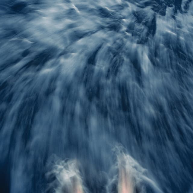 Transient cover art