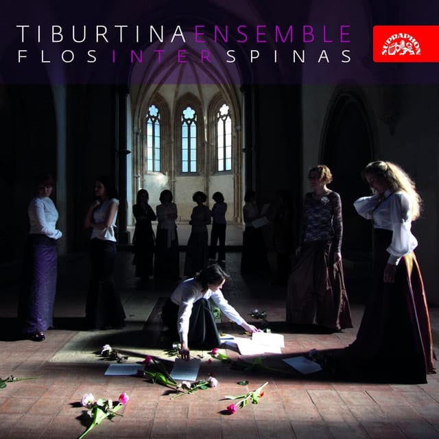 Dulci voce resonet (Antifona) - Beate Virginis Marie (Canticum) cover art