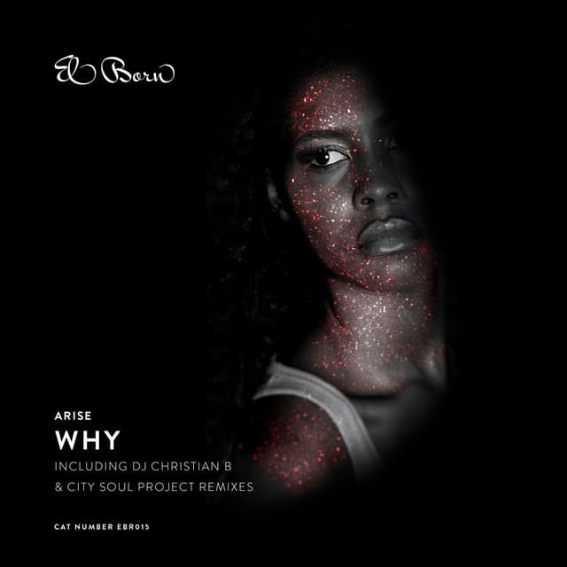 Why - DJ Christian B Remix cover art