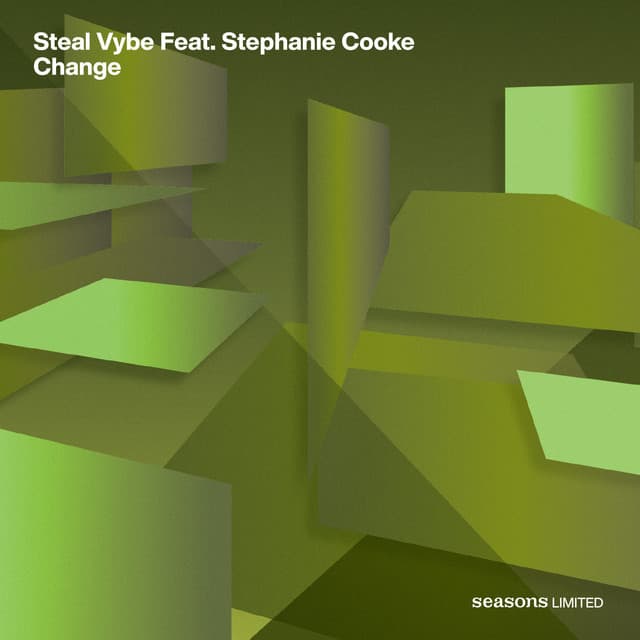 Steal Vybe