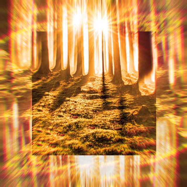 Revelation cover art