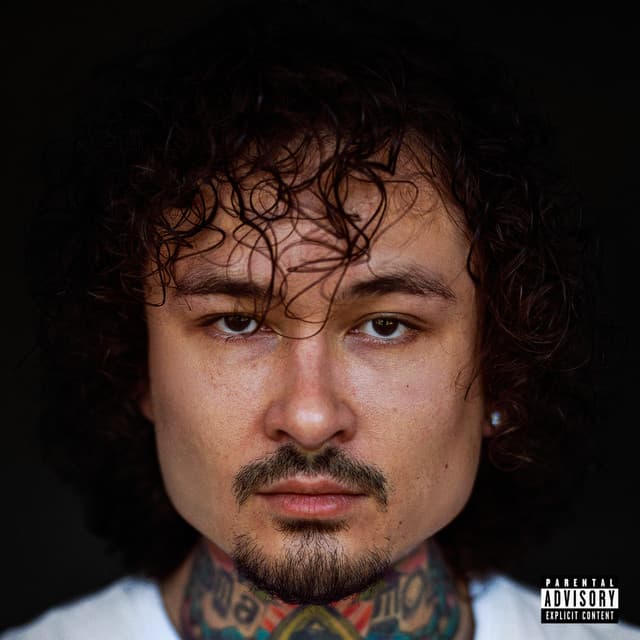 ПОВОД cover art