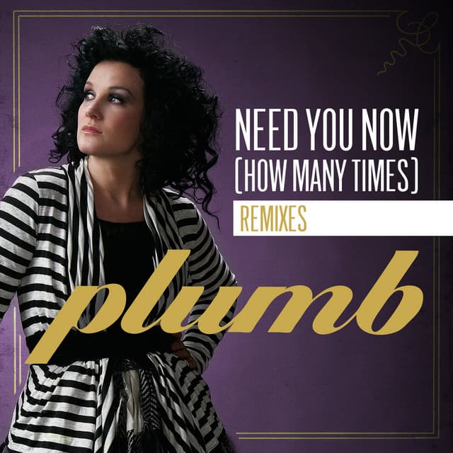 Need You Now (How Many Times) (The Remixes) cover art