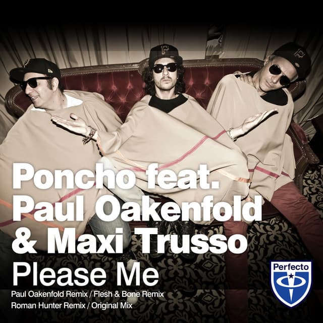 Please Me - Flesh & Bone Remix cover art
