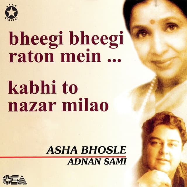 Mehndi Masala cover art