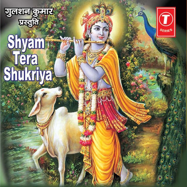 Shyam Tera Shukriya cover art