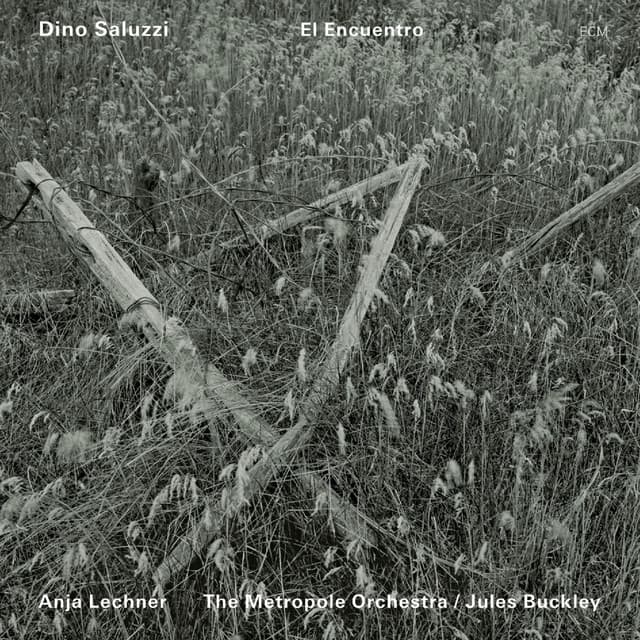 Vals De Los Días - Live cover art