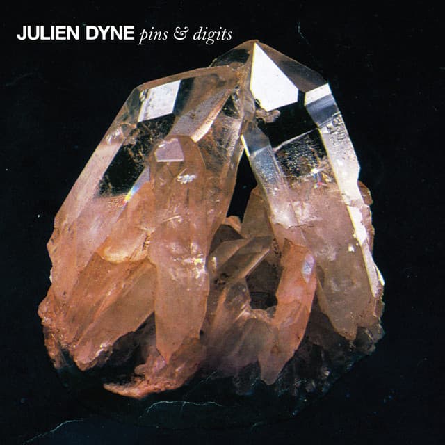 Pins & Digits cover art