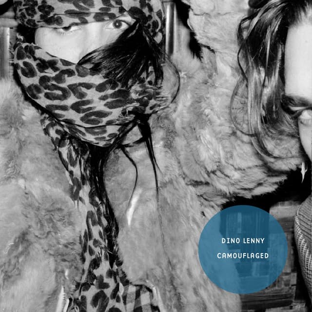 Camouflaged - Brynjolfur Remix cover art