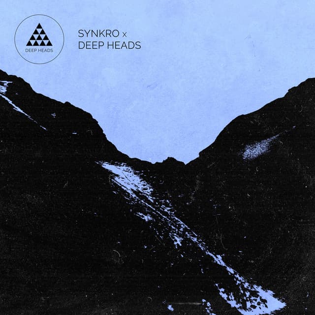 Synkro X Deep Heads cover art