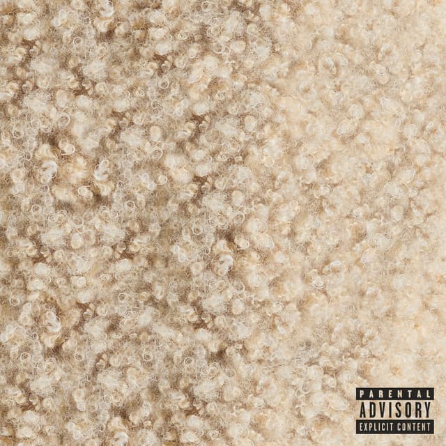 OKLOSER cover art