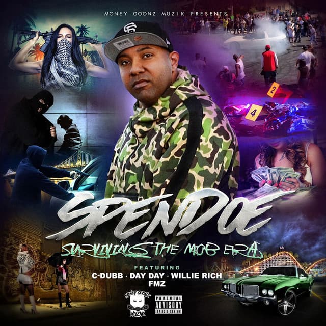 Surviving the Struggle cover art