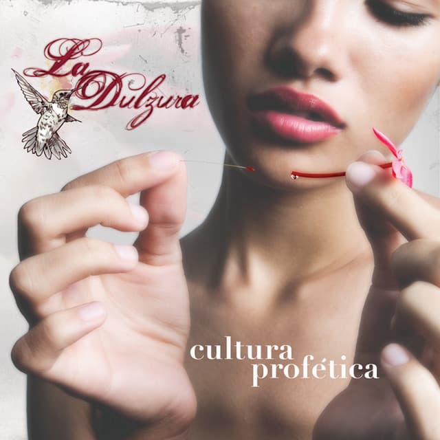 Ilegal cover art