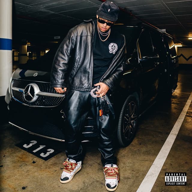 313 cover art