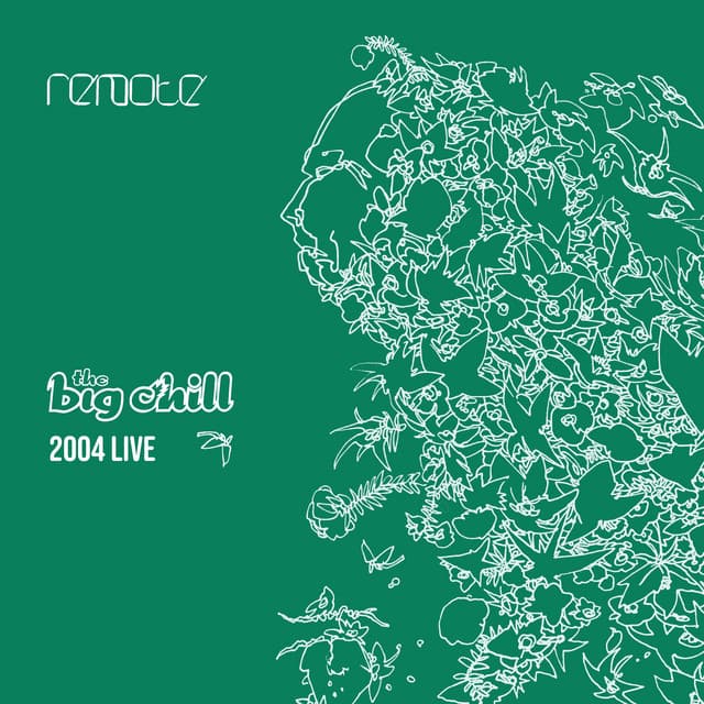 Remote: The Big Chill 2004 Live cover art