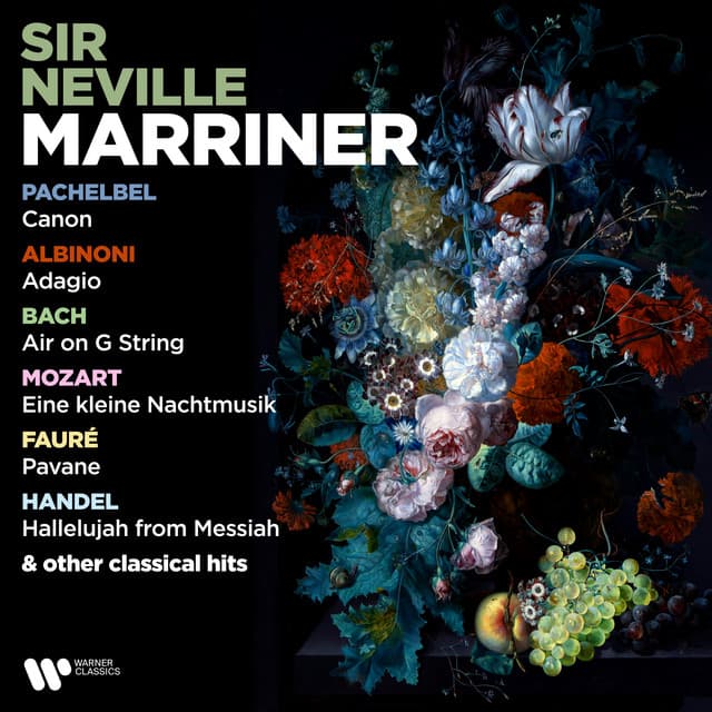 Pachelbel: Canon - Albinoni: Adagio - Bach: Air on G String - Mozart: Eine kleine Nachtmusik - Fauré: Pavane & Other Classical Hits cover art