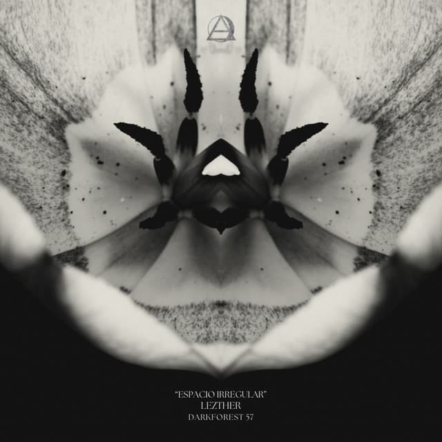 Espacio Irregular cover art