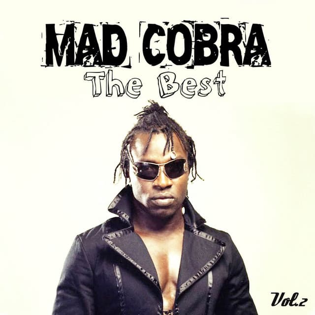 The Best, Vol. 2 cover art