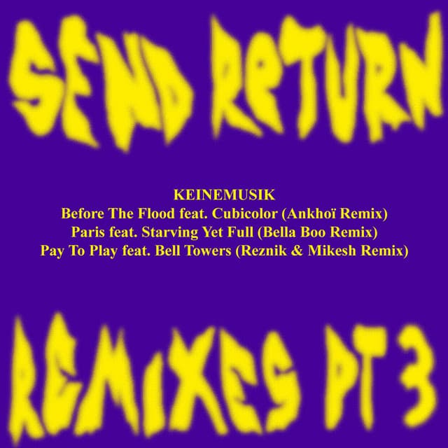 Before The Flood - Ankhoï Remix cover art