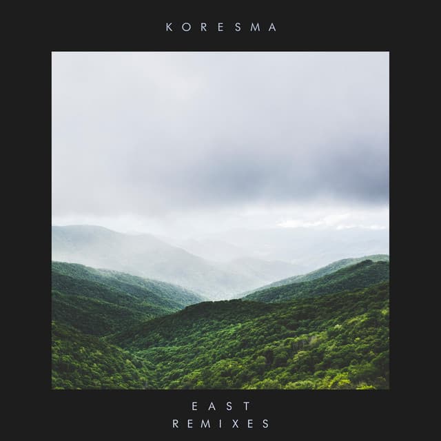Forest Sang - Good Lee Remix cover art