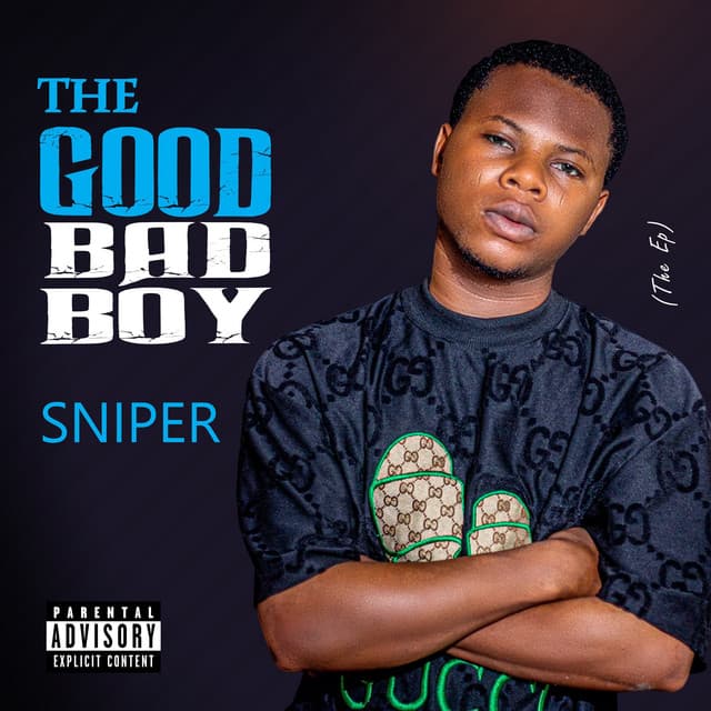 The Good Bad Boy cover art