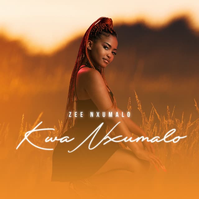Umsebenzi cover art