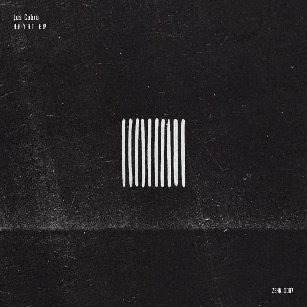 Hayat cover art
