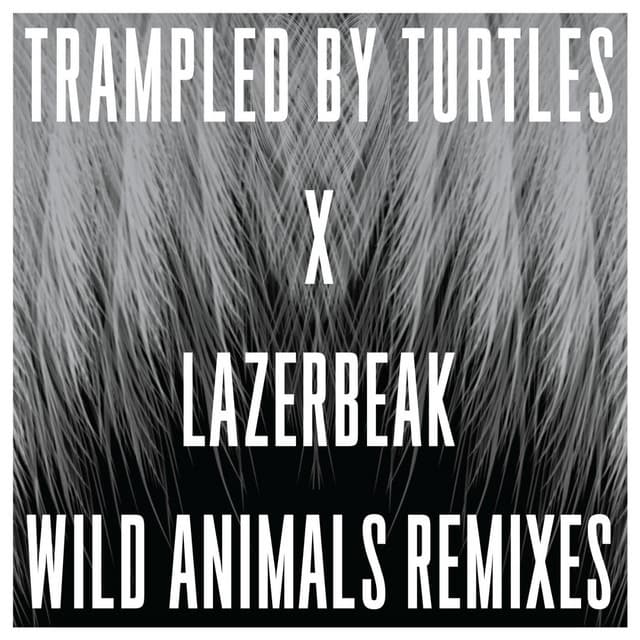 Are You Behind the Shining Star? (Lazerbeak Remix) cover art