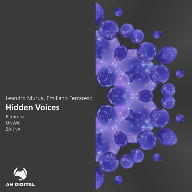Hidden Voices - UNWA Remix cover art