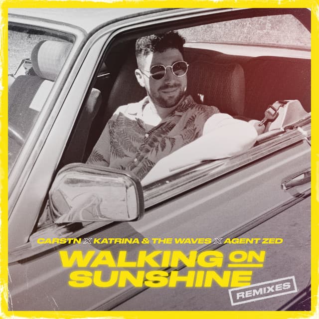 Walking on Sunshine (VIP Mix) cover art