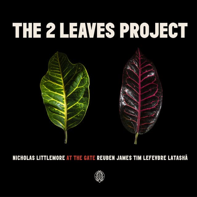 At the Gate cover art