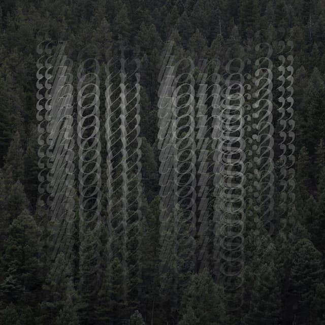 Zachary Green