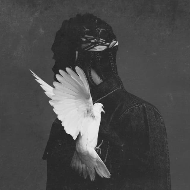 M.P.A. cover art