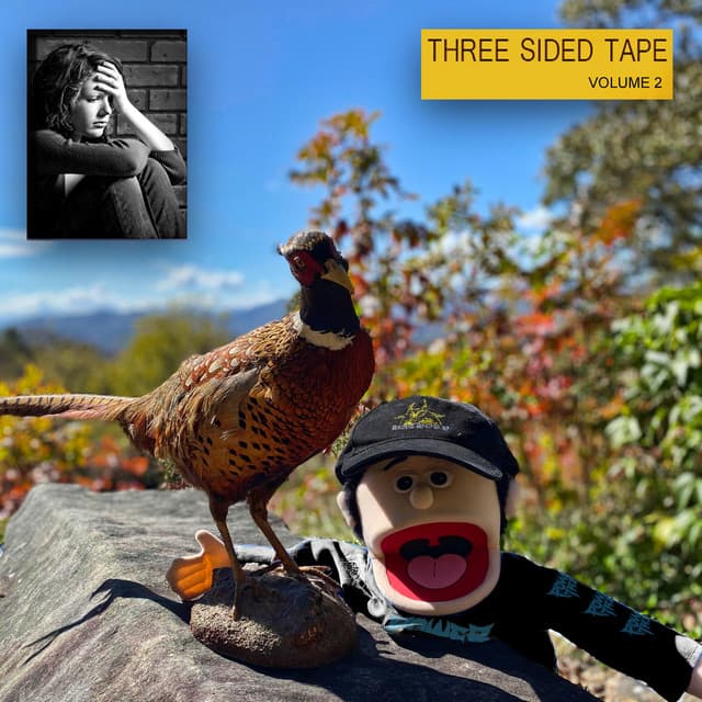 Three Sided Tape Volume TWO cover art