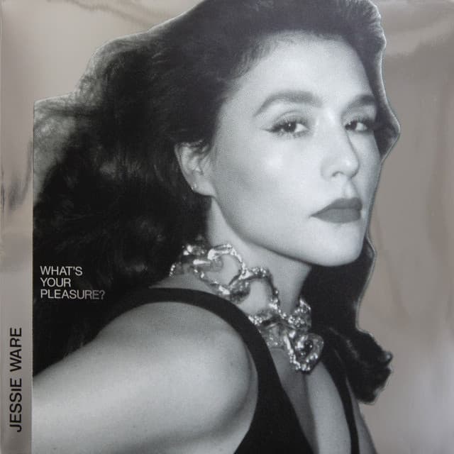What's Your Pleasure? (The Platinum Pleasure Edition) cover art