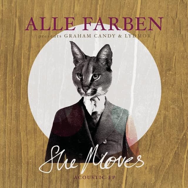 She Moves - Acoustic Guitar Version cover art