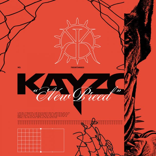 NEWS FLASH cover art