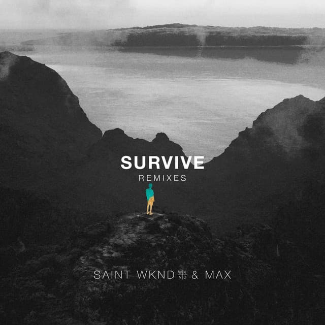 Survive - Sonny Fodera Remix cover art